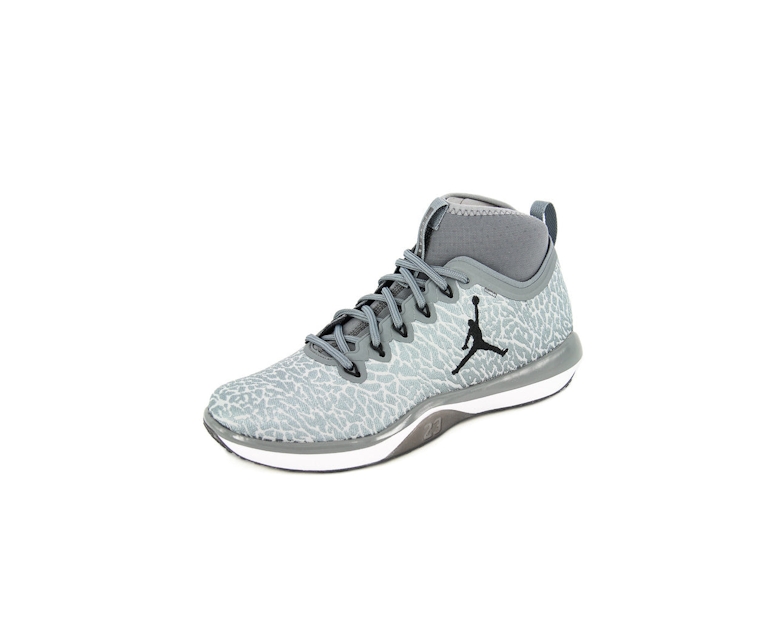 Jordan Trainer 1 Grey/white/black