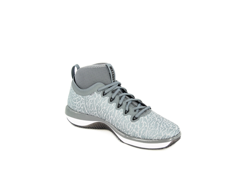 Jordan Trainer 1 Grey/white/black
