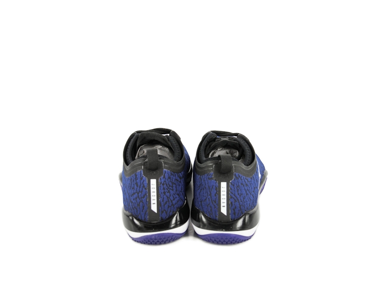 Jordan Trainer 1 Low Black/blue/white