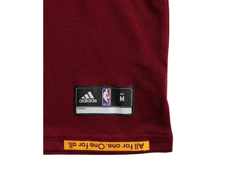 Adidas Performance Cleveland Cavaliers LeBron James Youth Jersey Burgundy