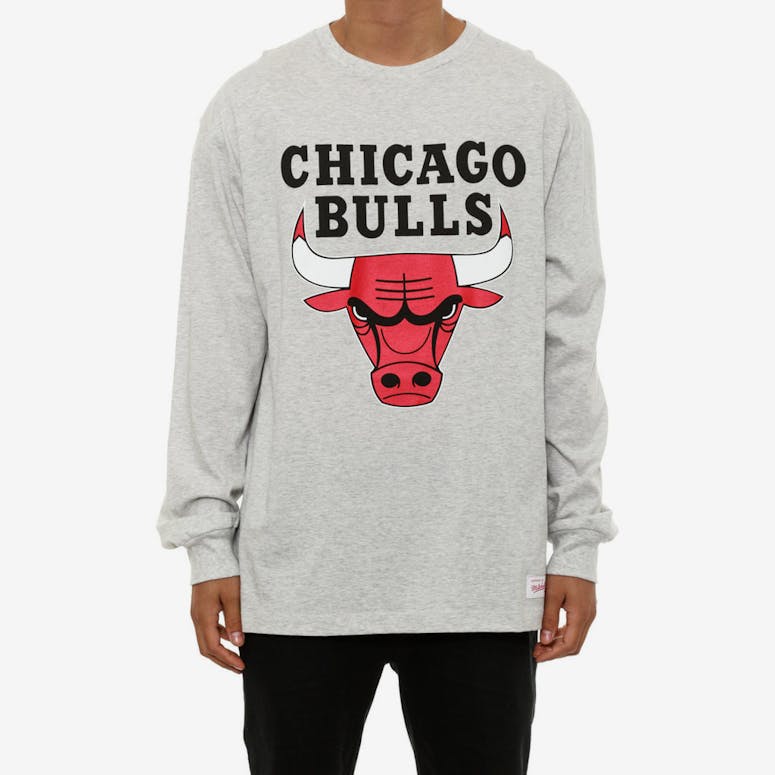 Bulls Team Logo Longsleeve Grey