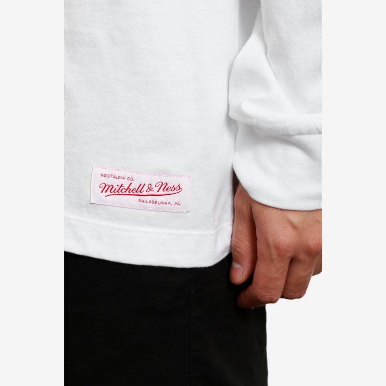 Celtics Bird #33 Long Sleeve Tee White/green