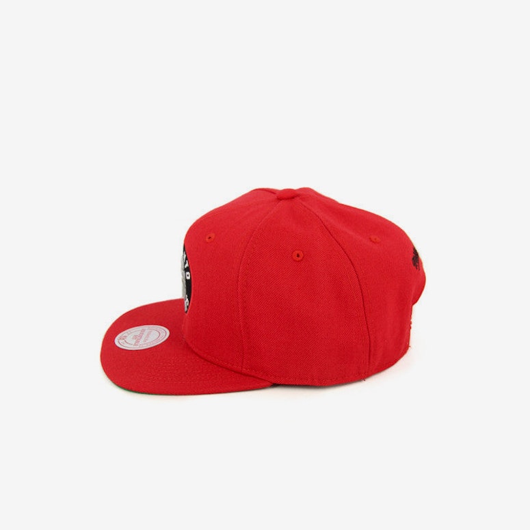Raptors Wool Solid Snapback Red/black