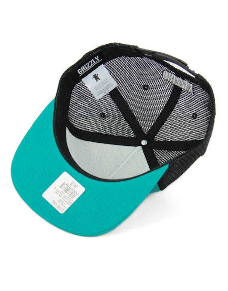 Bear Stamp Trucker Snapback Teal