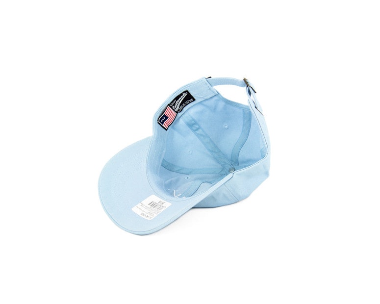 Script Logo Curved Strapback Light Blue/whit