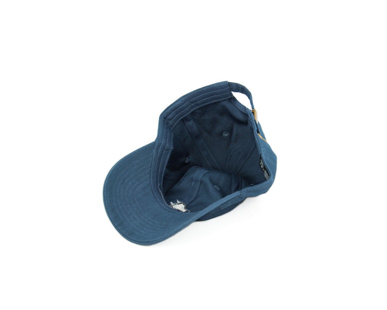 Plug Precurved Strapback Blue