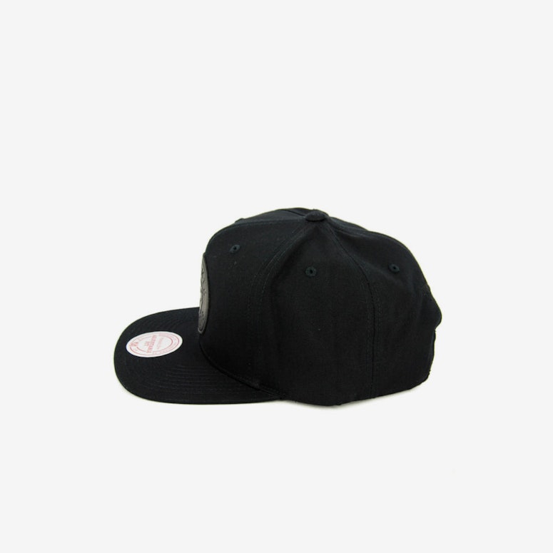 Raptors Hot Stamp Snapback Black/black