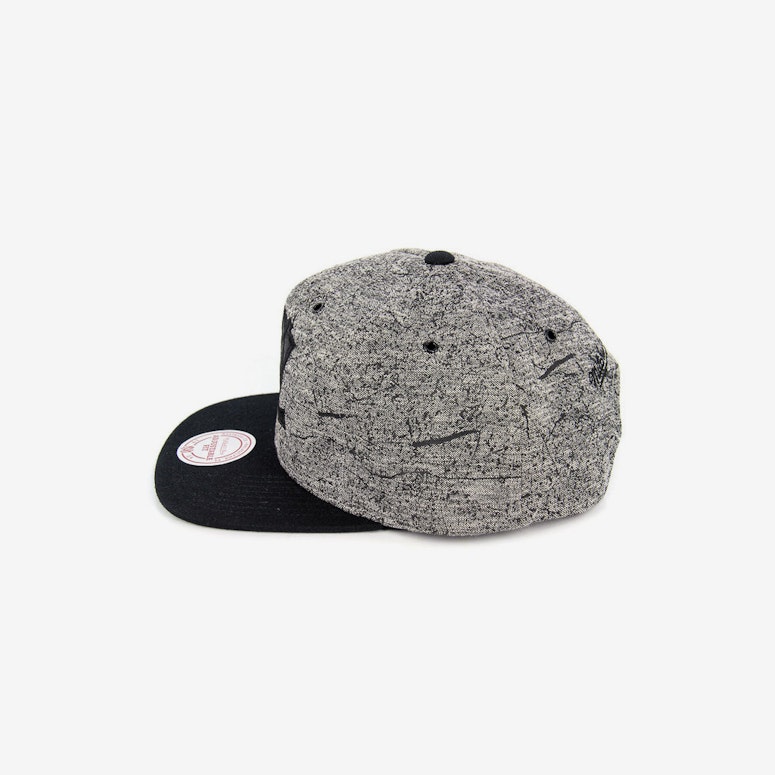 Ducks Grounded Snapback Grey/black