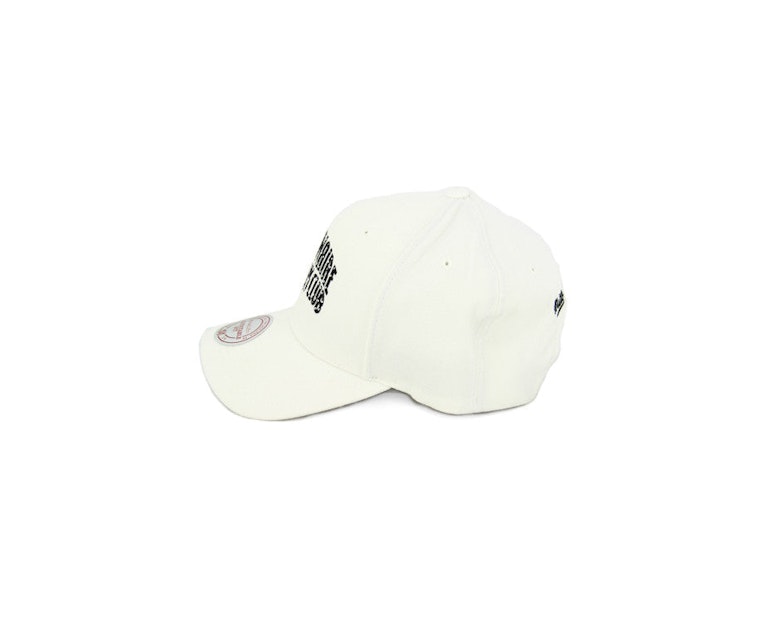 Arch Logo 110 Curved Brim White/black