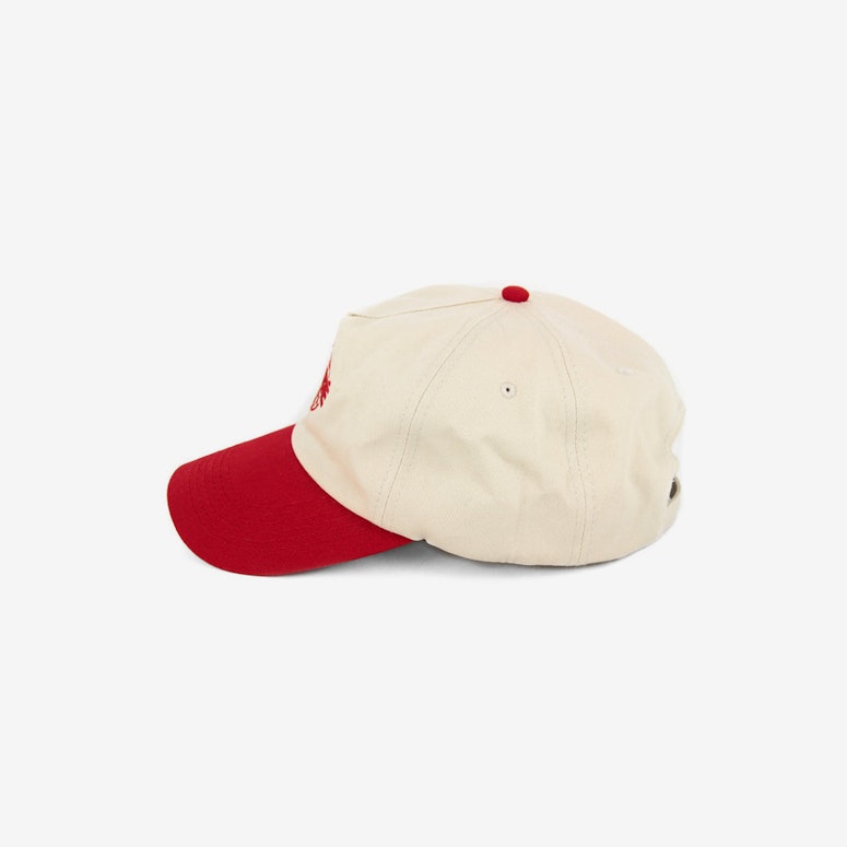 Global Precurved Strapback Grey/red