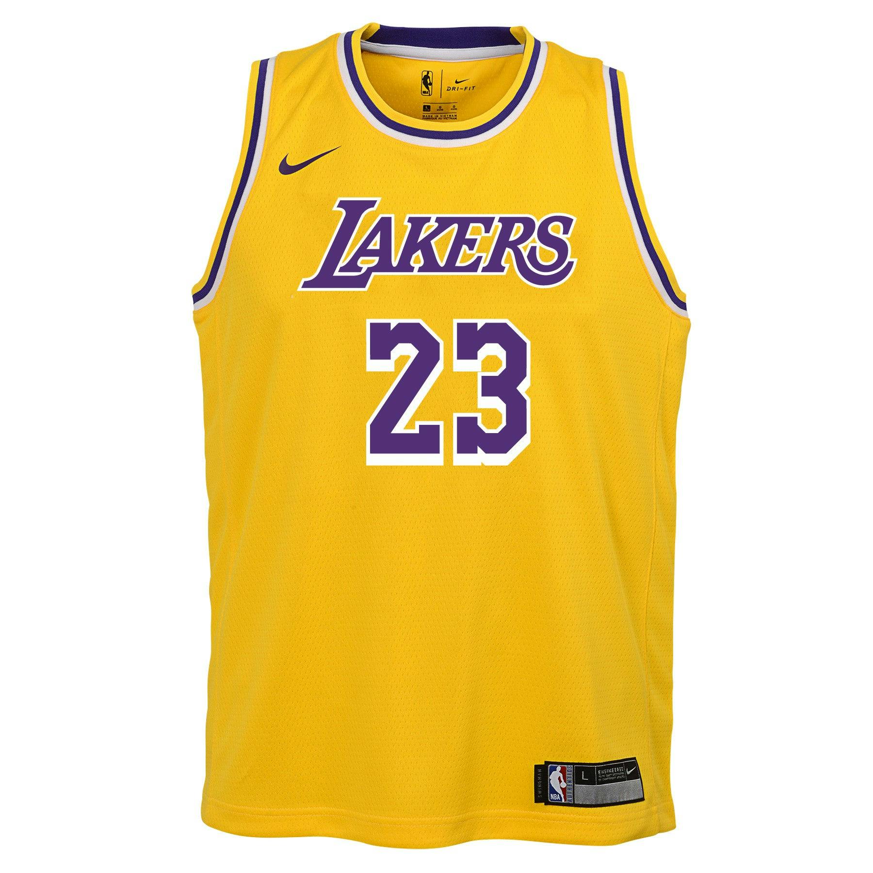 Nike Kids Los Angeles Lakers LeBron James 23 Icon Swingman NBA Jersey