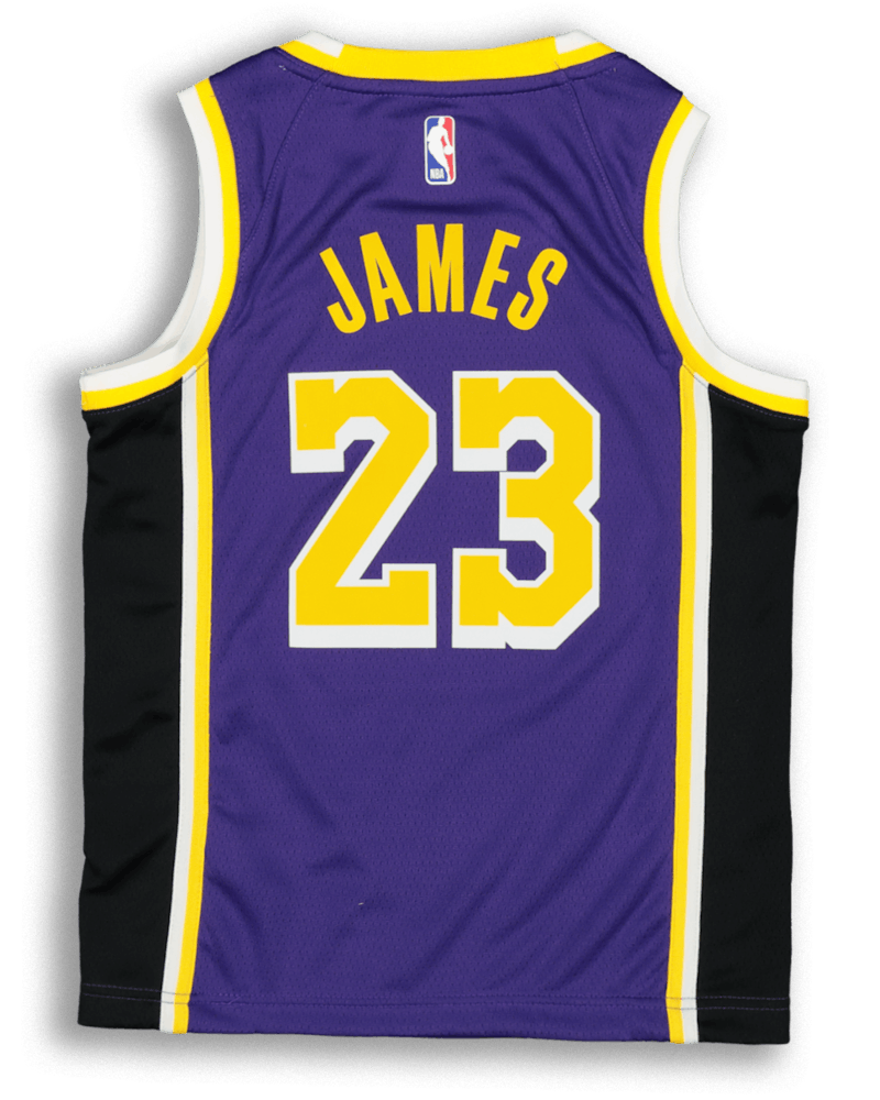 Nike Kids Los Angeles Lakers Lebron James 23 Statement Swingman Nba Jersey Purple Culture Kings