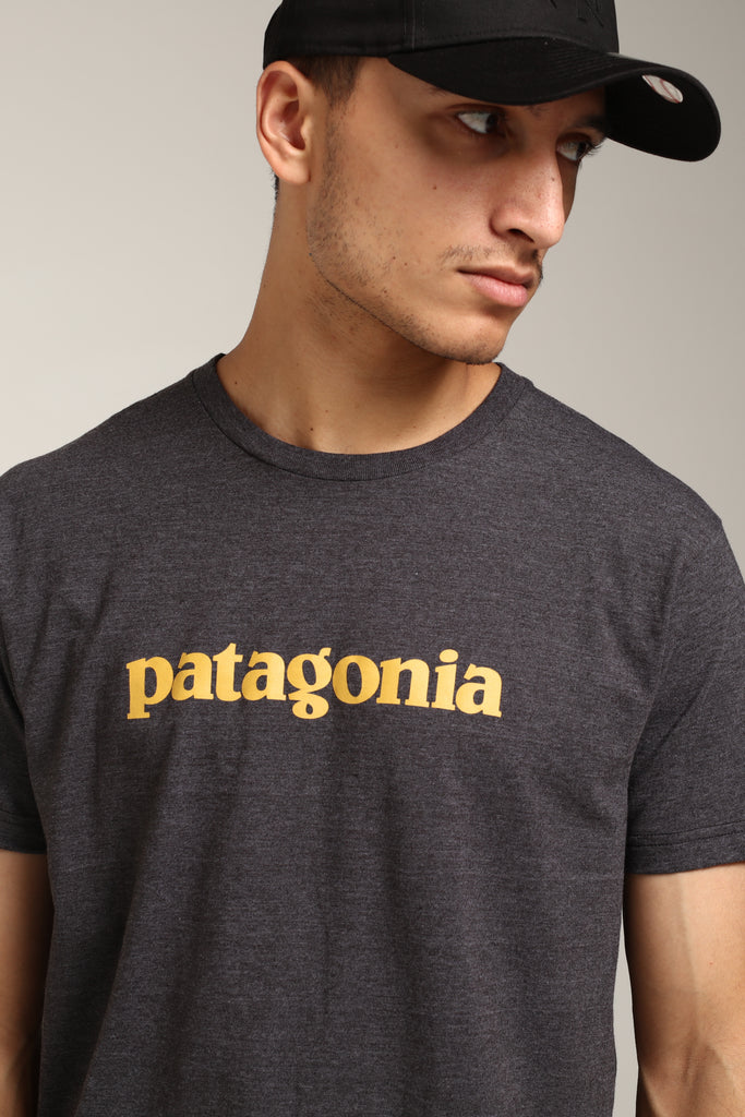 patagonia baseball tee