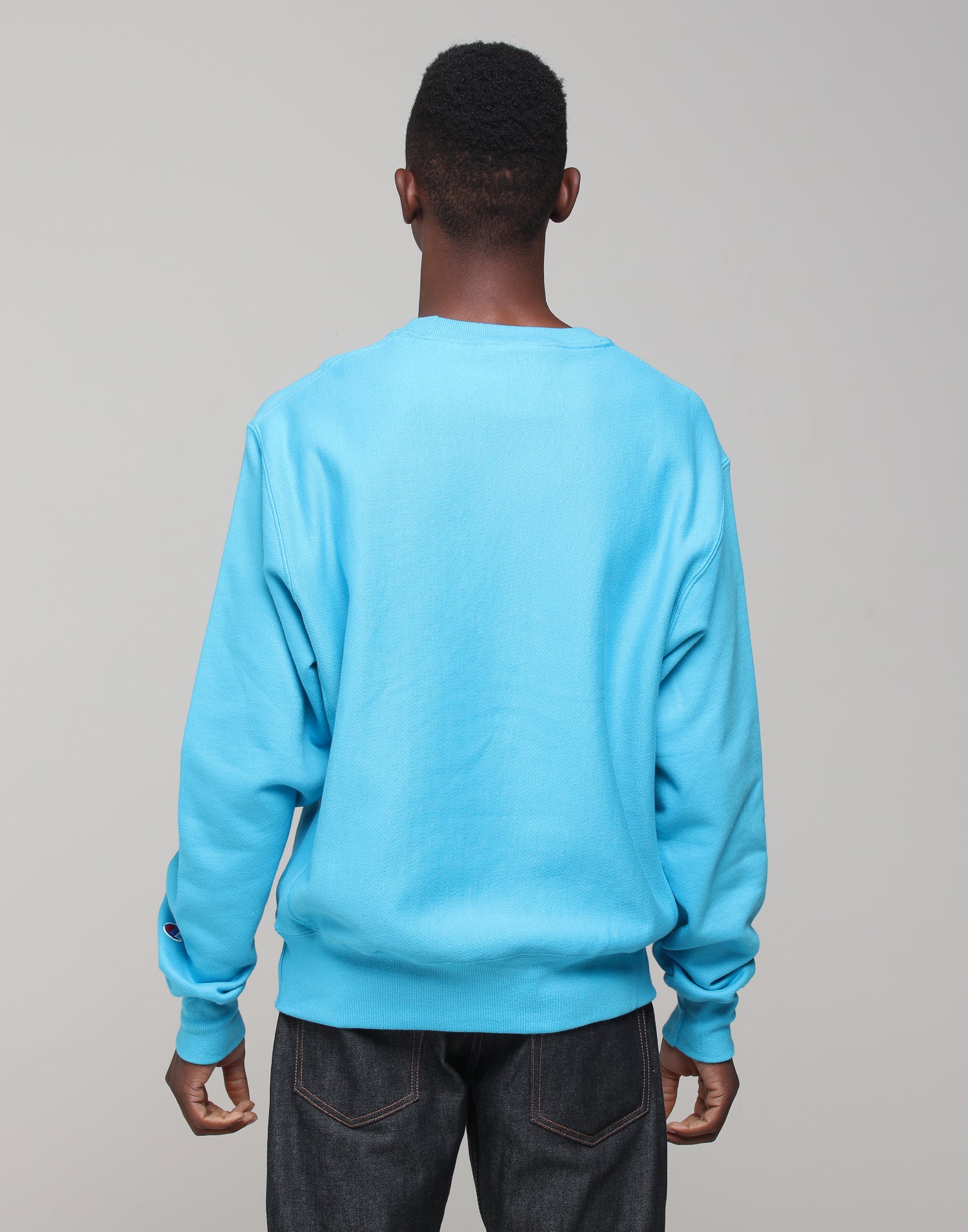 champion tidal wave sweatshirt