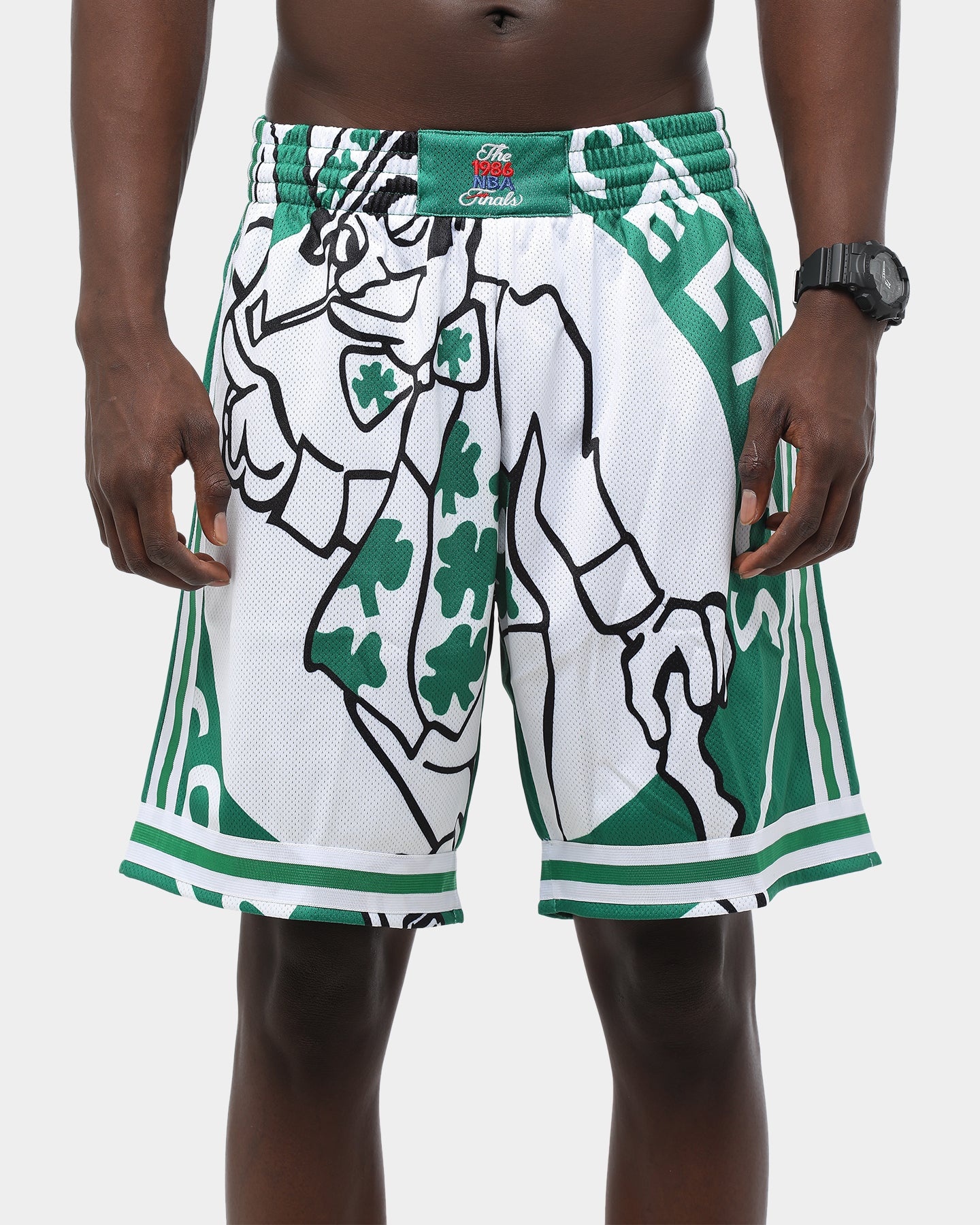 celtics shorts mitchell and ness