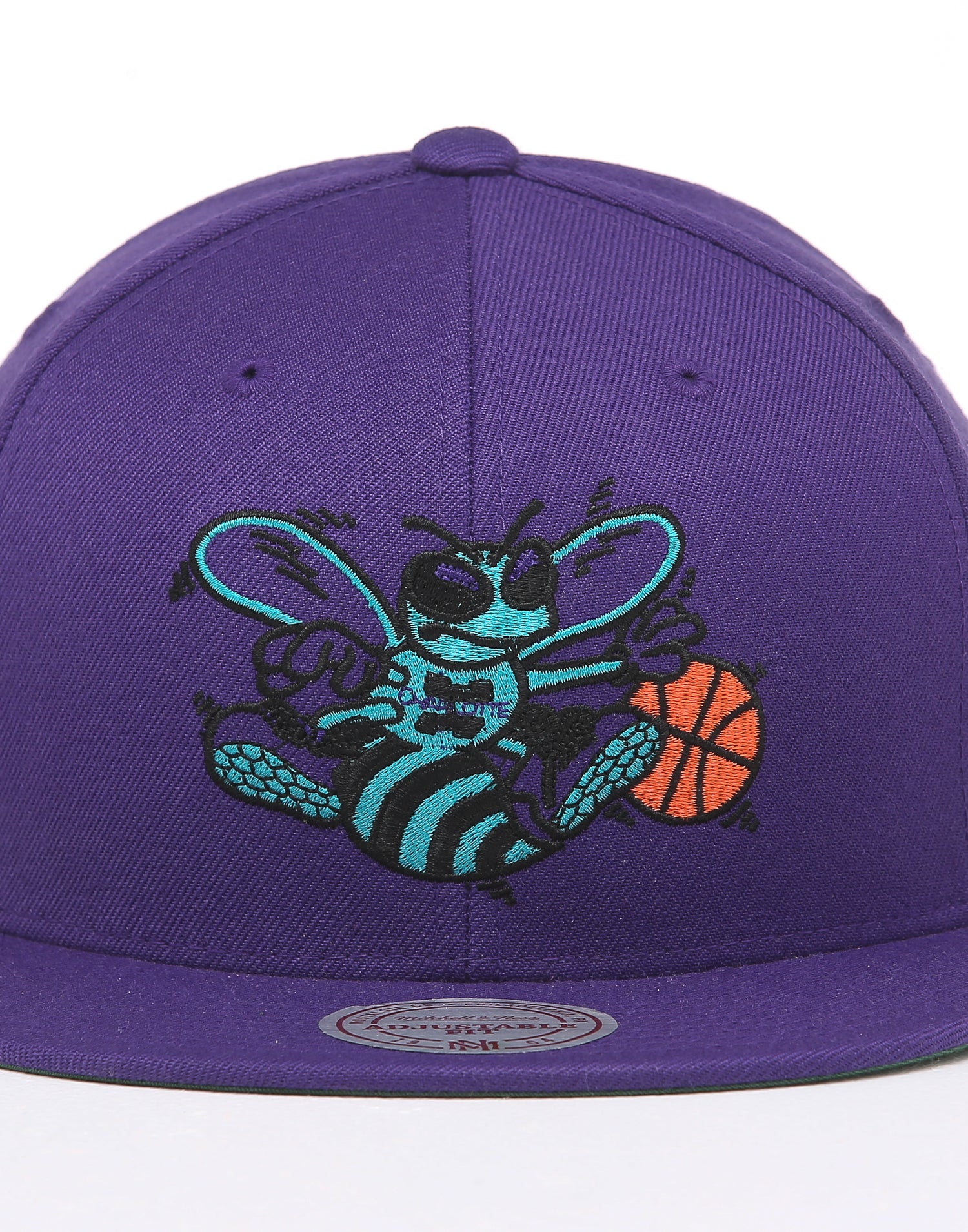 throwback charlotte hornets hat