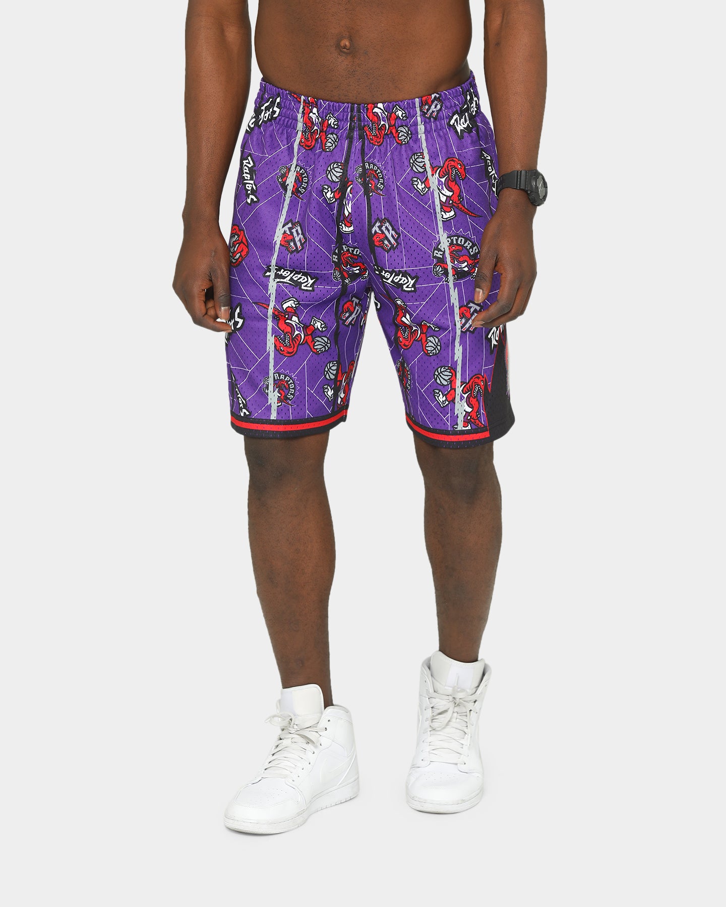 raptors shorts purple