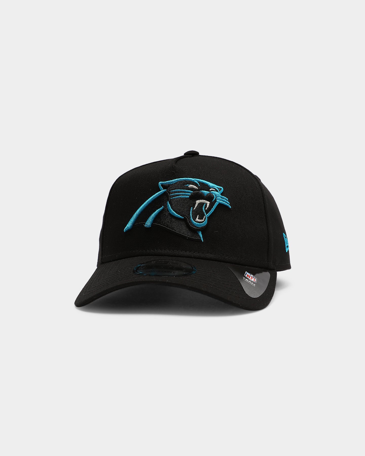 panthers snapback