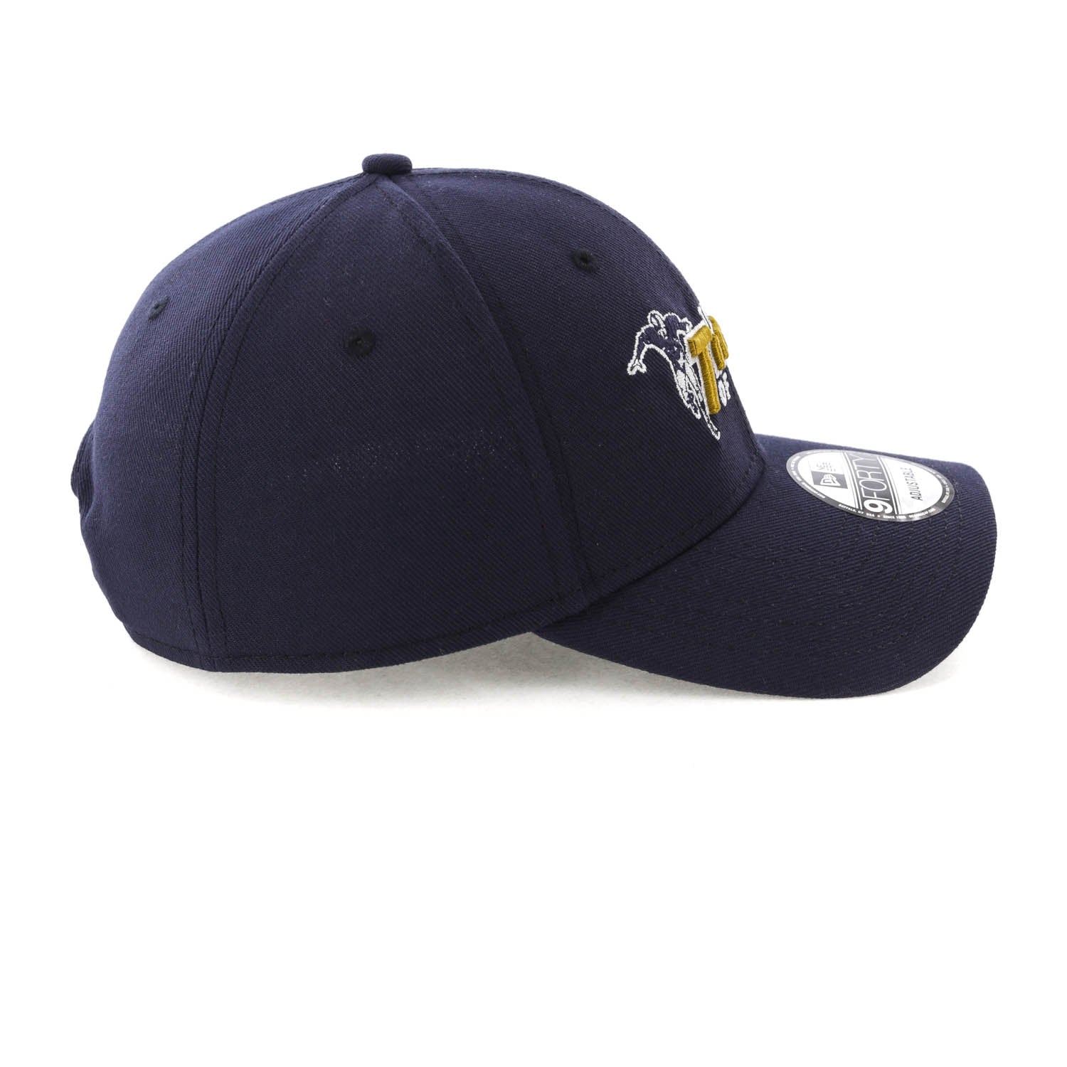 new york titans hat