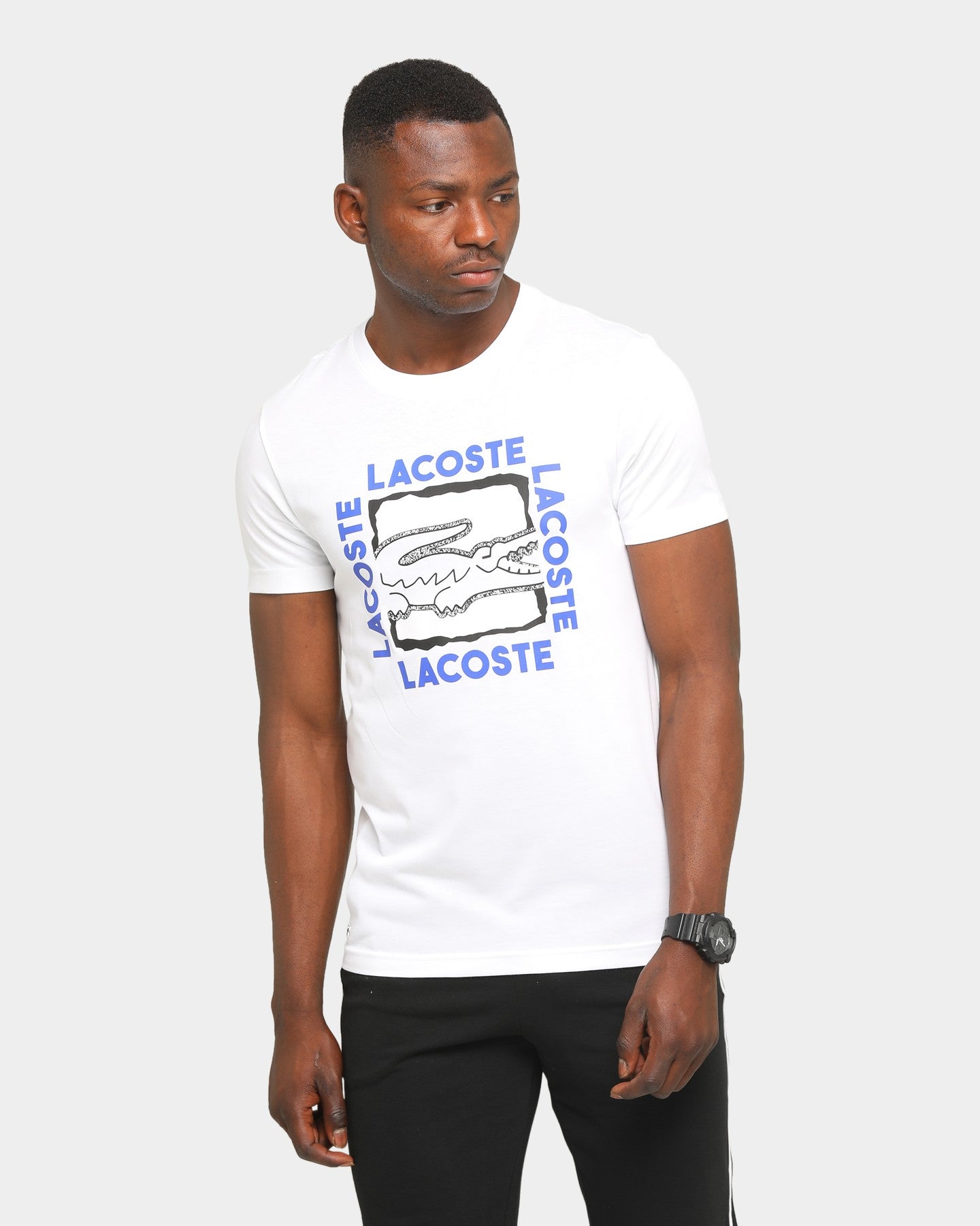 lacoste big logo