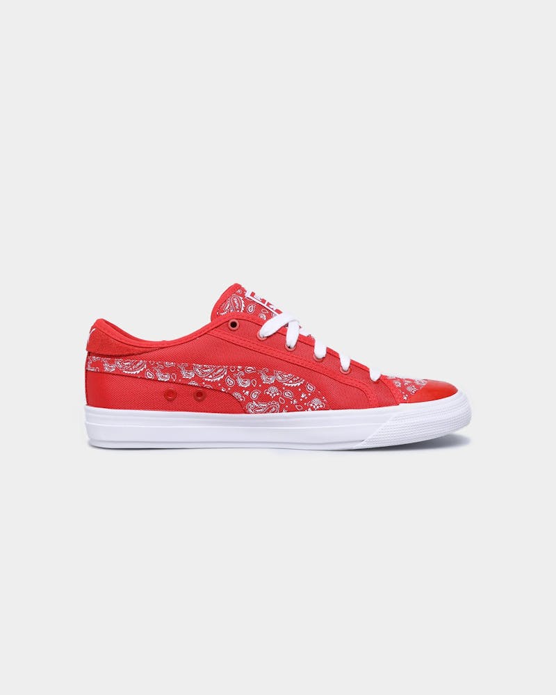 capri paisley puma