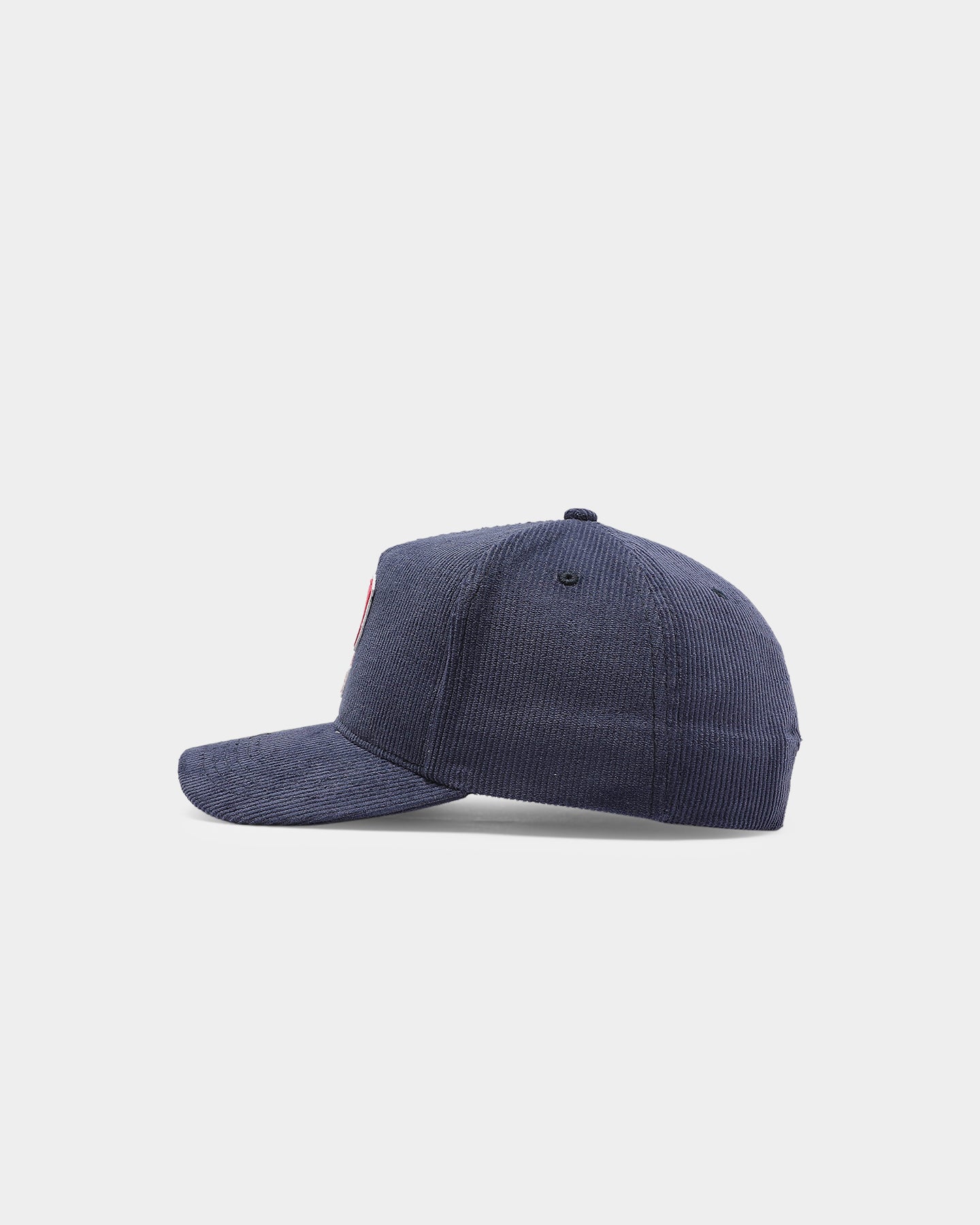 pink dolphin p hat