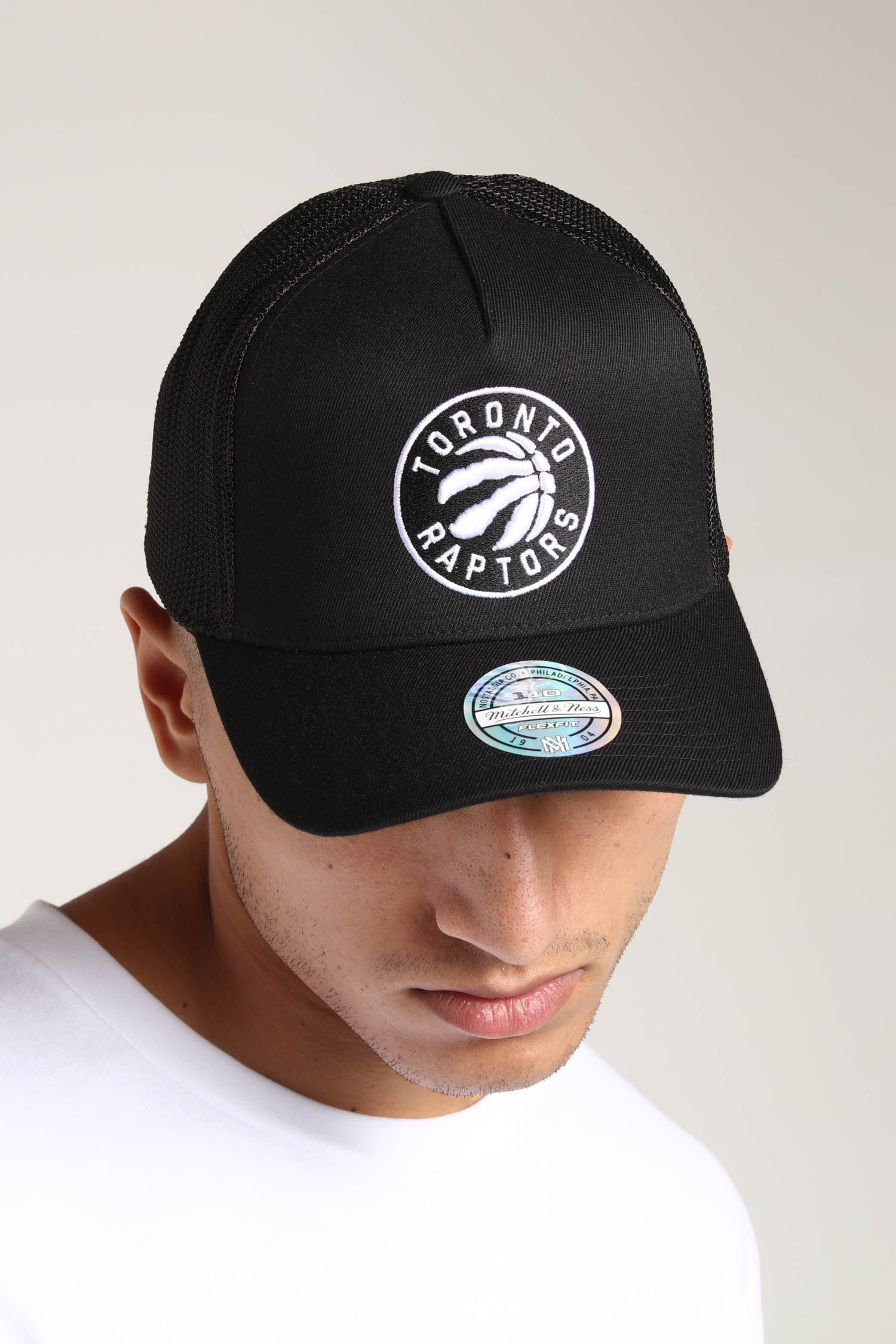 toronto raptors trucker hat