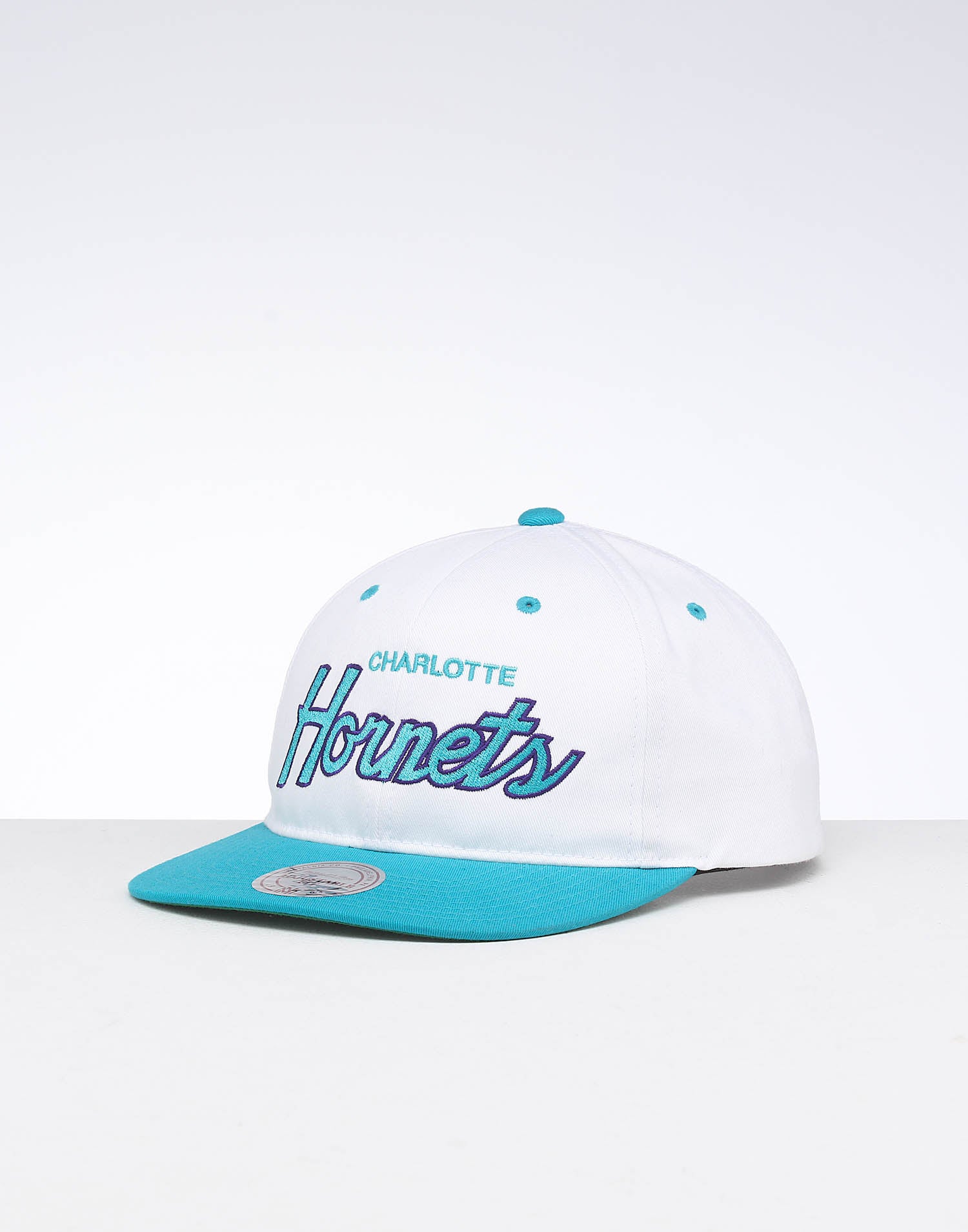 charlotte hornets throwback hat