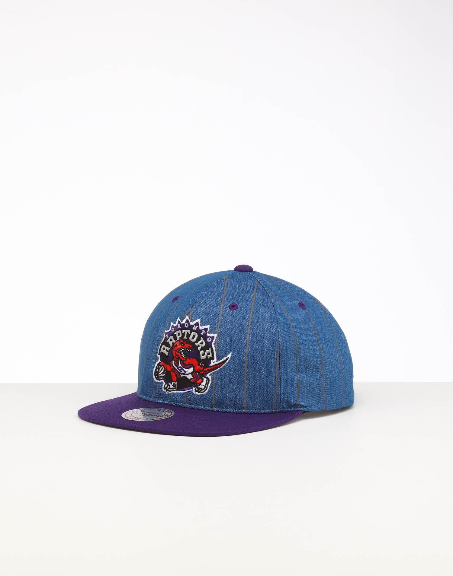 toronto raptors cap mitchell and ness