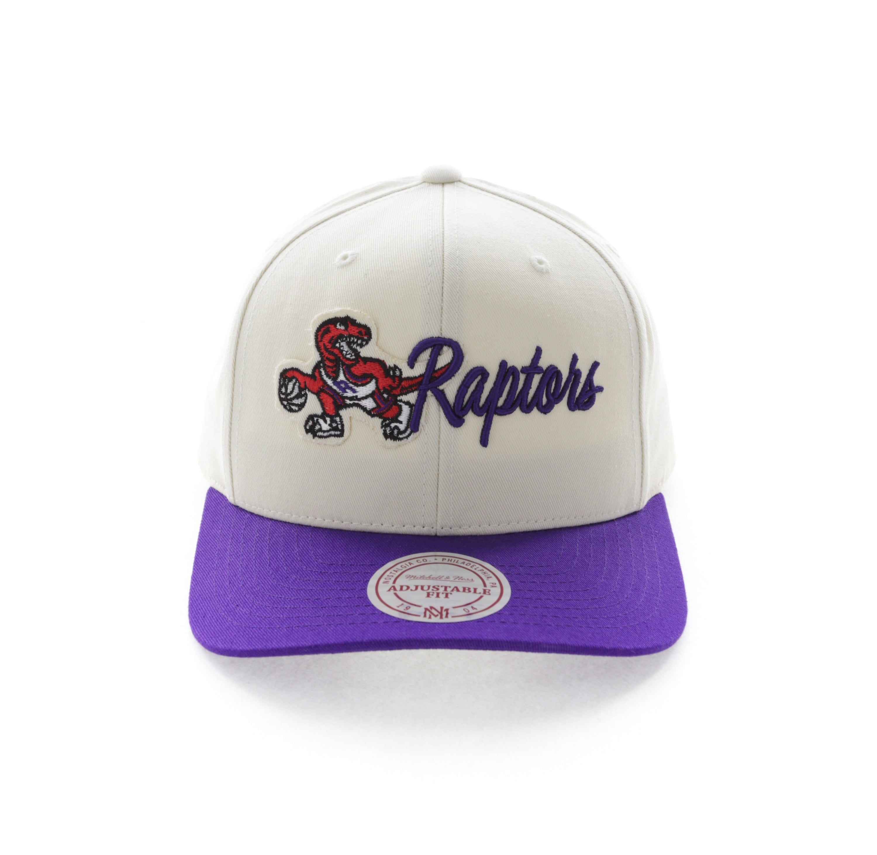 vintage raptors snapback